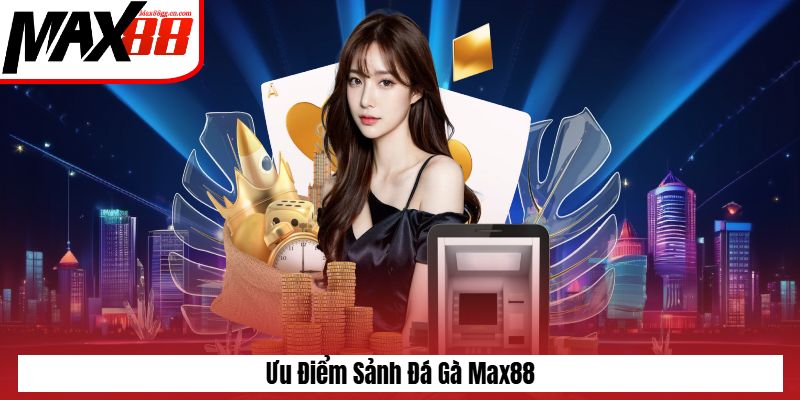 Ưu điểm tại sảnh đá gà Max88
