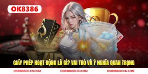 Giấy Phép Hoạt Động OK8386? Vai Trò Và Ý Nghĩa Quan Trọng